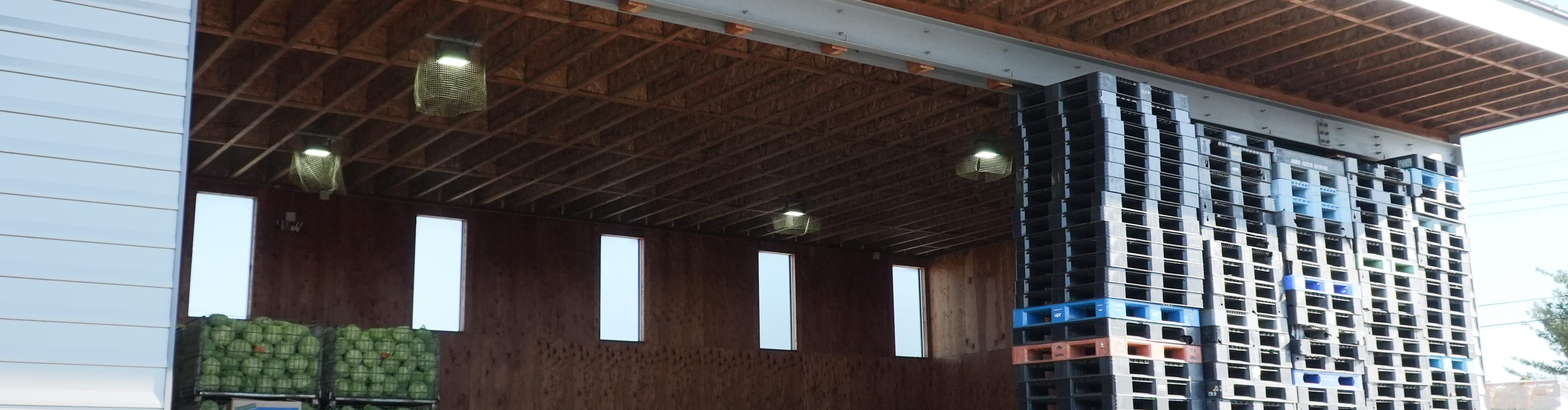 ベジドリームについて